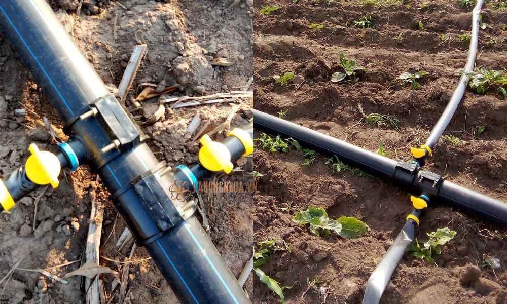 ứng dụng đai khởi thủy hdpe