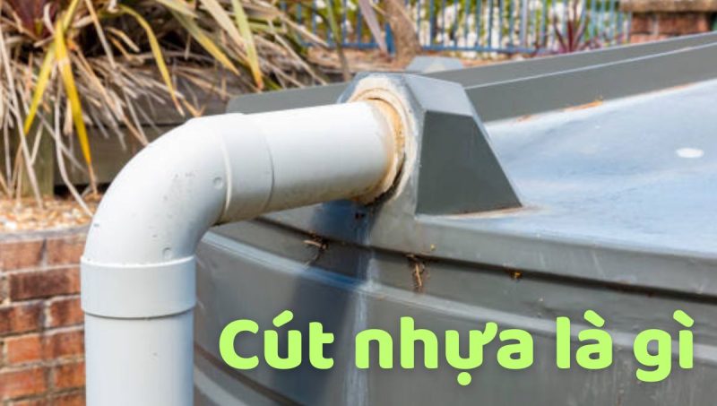 cút nhựa là gì