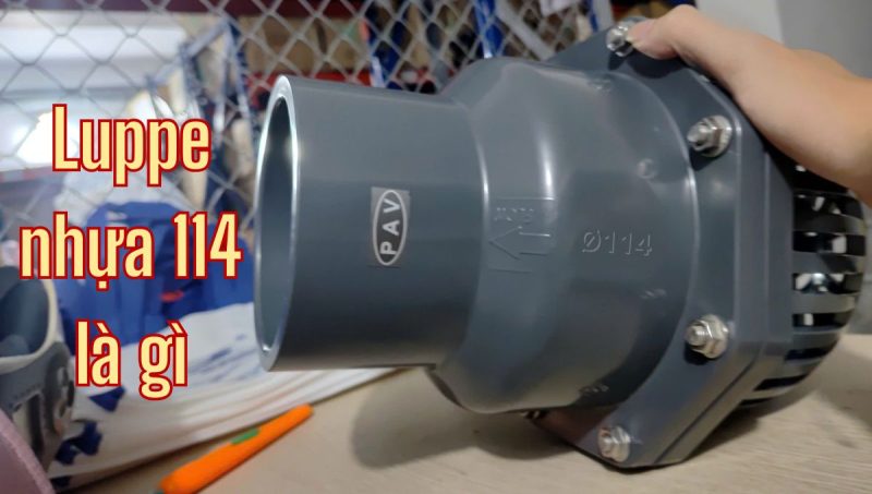 luppe nhựa 114 là gì