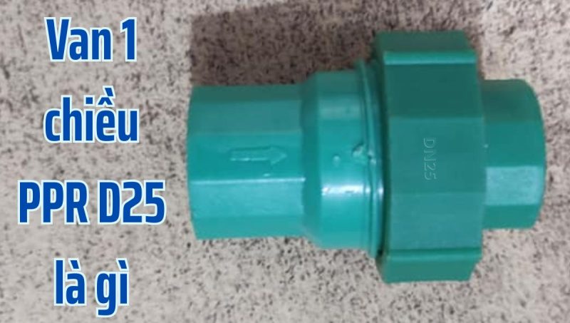 van 1 chiều ppr d25 là gì