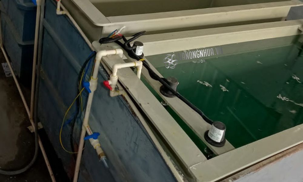 bồn nhựa pp hóa chất