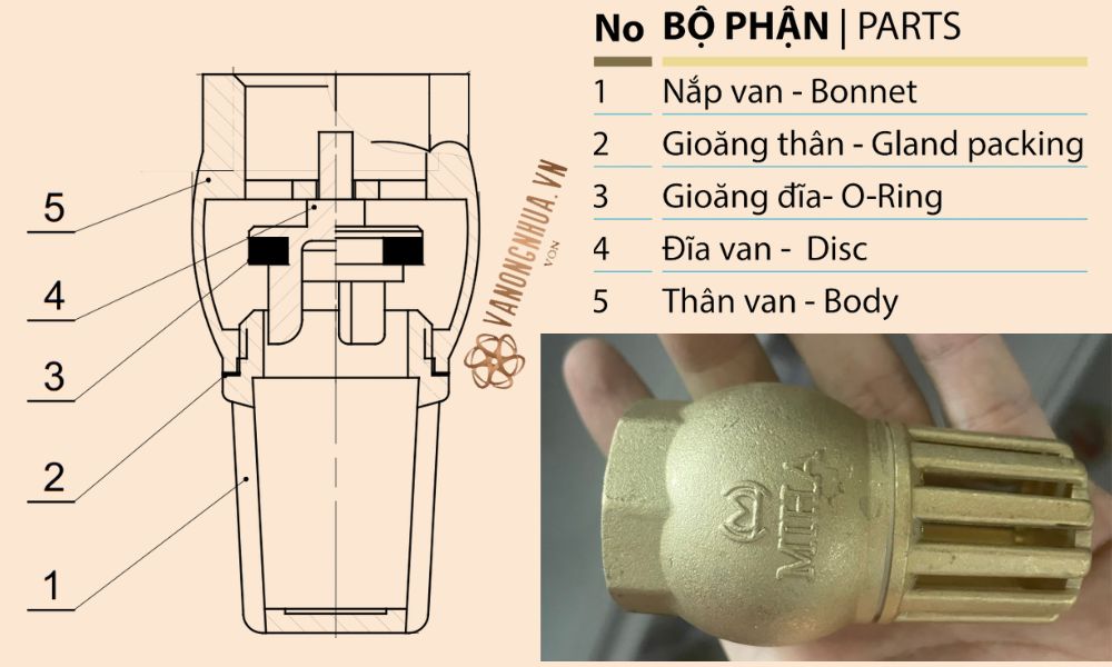 cấu tạo chõ bơm nước lò xo đồng