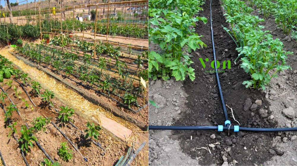 chi phí đầu tư ống tưới nhỏ giọt Dekko