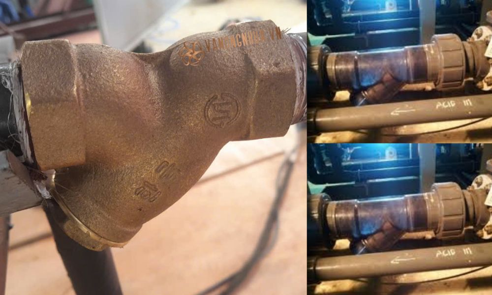 chức năng y strainer