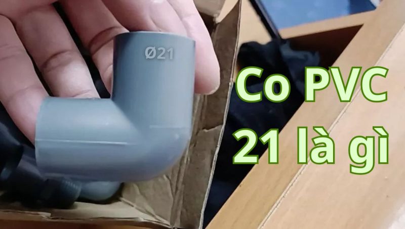 co pvc 21 là gì
