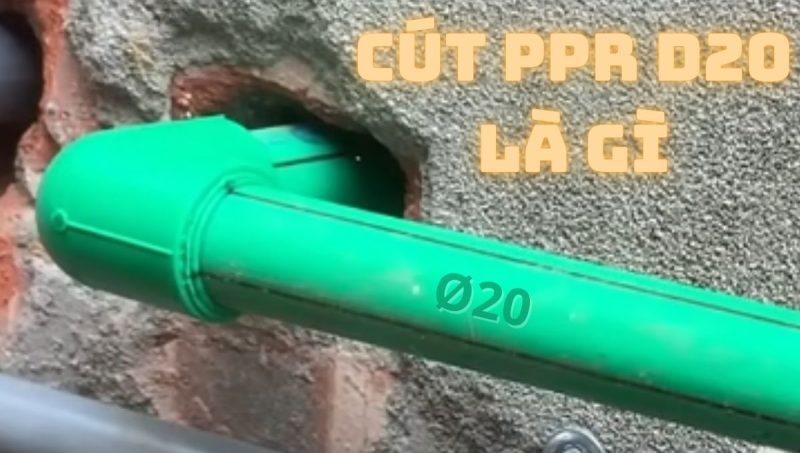 cút ppr d20 là gì