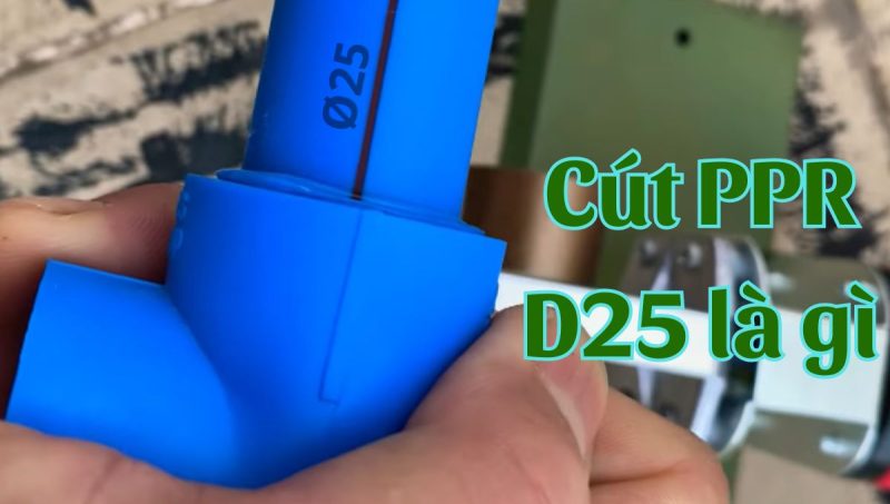 cút ppr d25 là gì