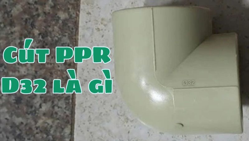 cút ppr d32 là gì