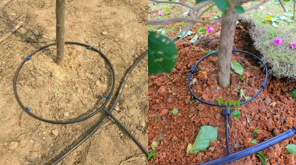 đặc điểm của ống tưới gắn chip Dekko quấn quanh gốc