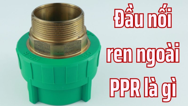 đầu nối ren ngoài ppr là gì