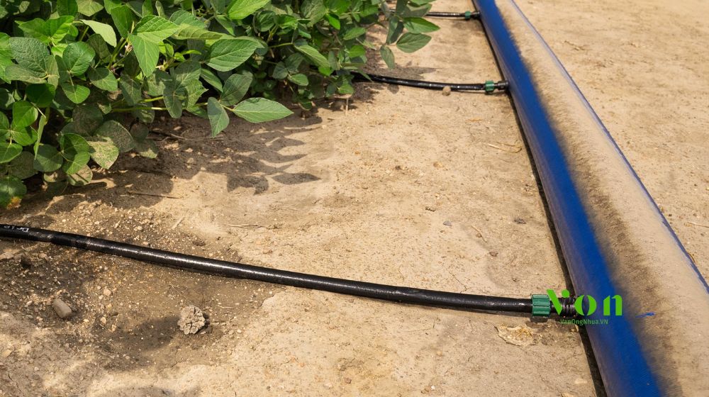 kết hợp với hệ thống bón phân