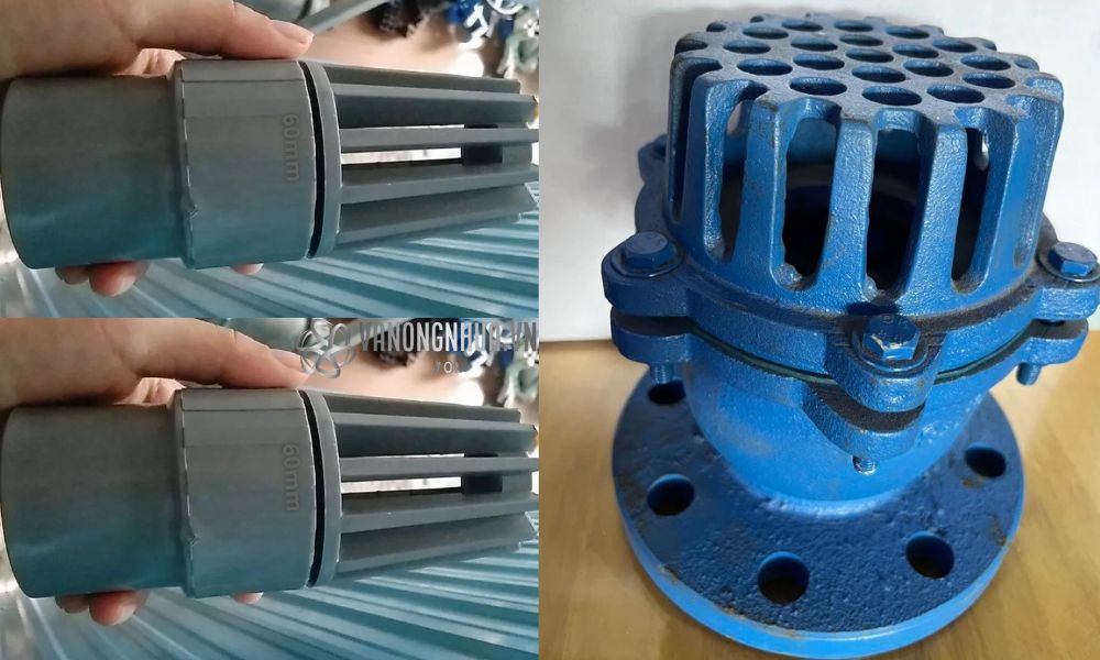 khái niệm luppe 60