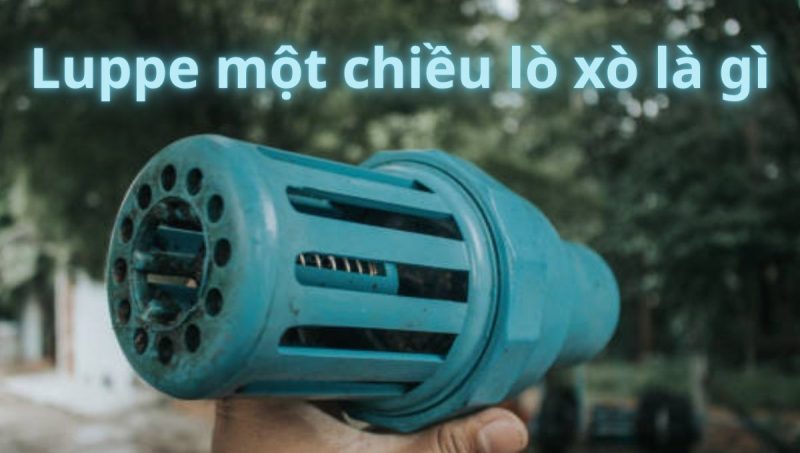 luppe một chiều lò xo là gì