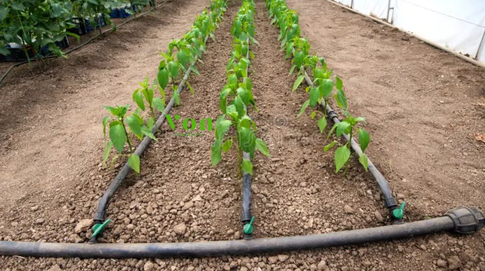 mục đích sử dụng của ống tưới nhỏ giọt Dekko