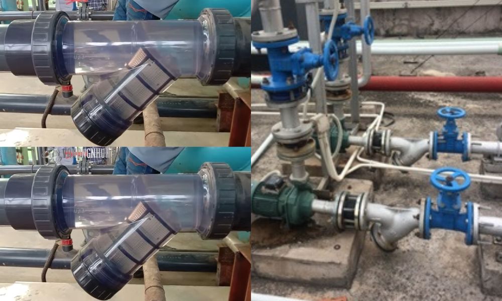 nhận biết lưới y lọc