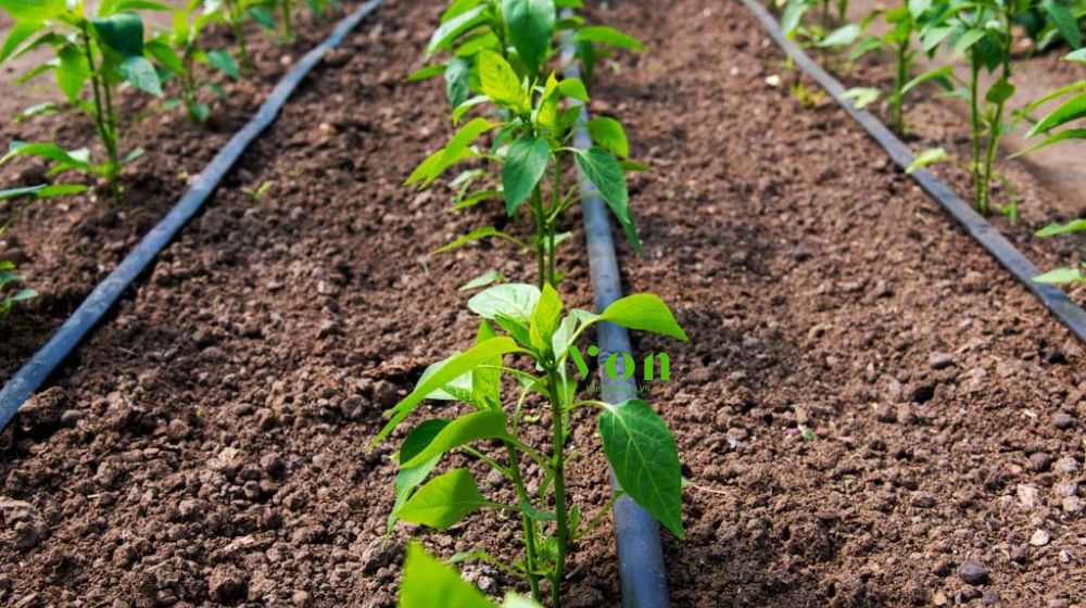 ống dẹt dải dọc luống gắn chip Dekko