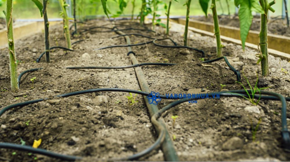 ống tròn dải dọc luống gắn chip Dekko