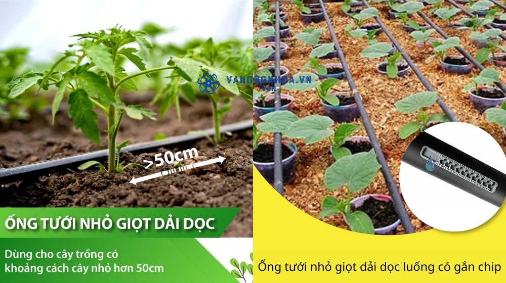 ống tưới gắn chip dải dọc luống dekko