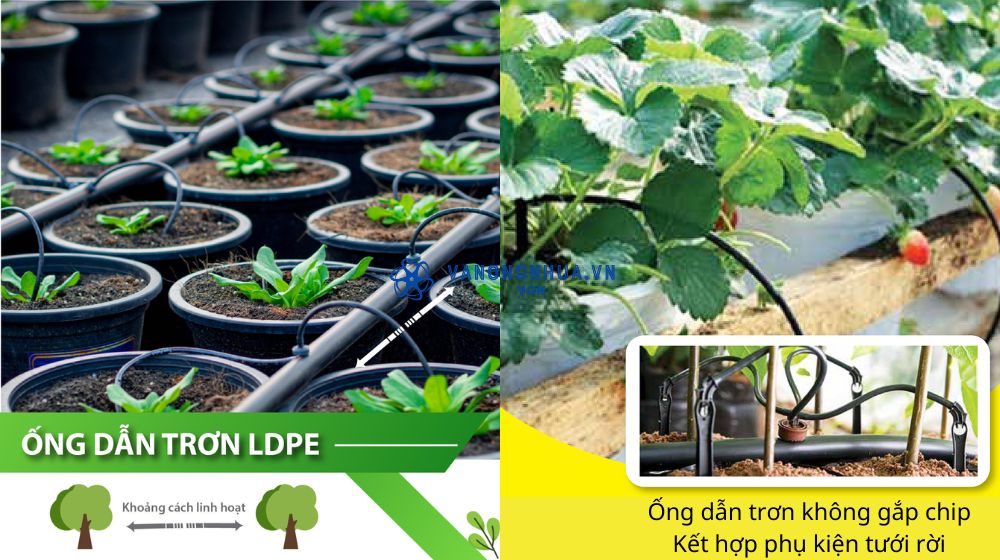 ống tưới không gắn chip Dekko