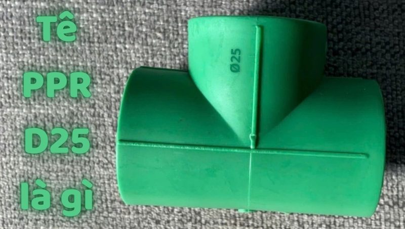 tê ppr d25 là gì