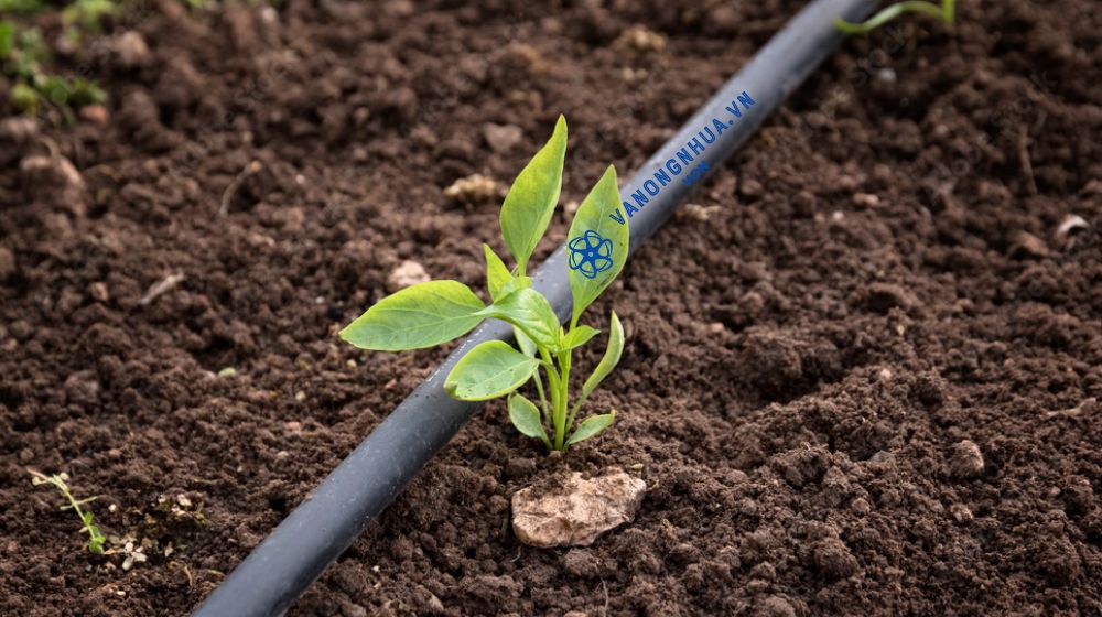 ứng dụng cho cacnh tác đặc thù