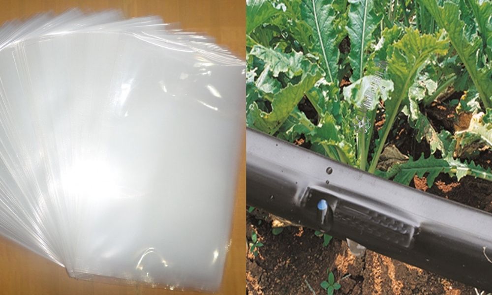 ứng dụng nhựa ldpe