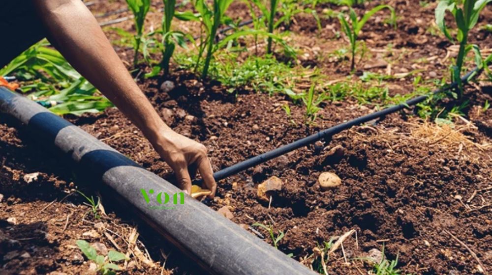 ứng dụng thực tế của phụ kiện ống tưới nhỏ giọt Dekko