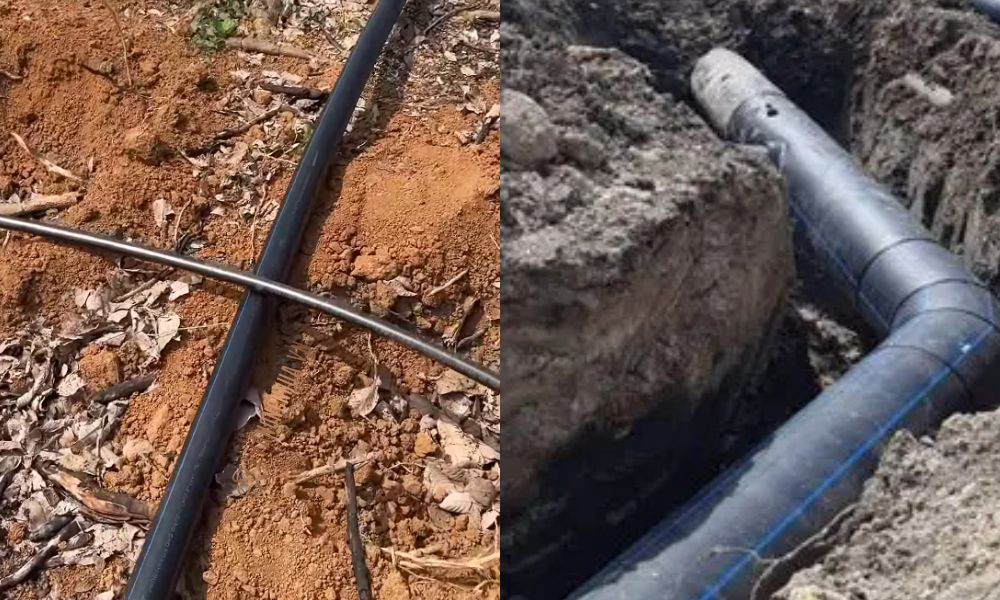 chủng loại ống pe