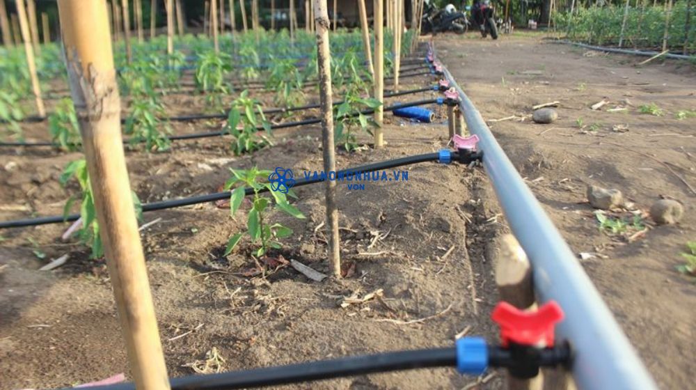 đặc điểm nhận diện van khởi thủy nhỏ giọt Dekko 2