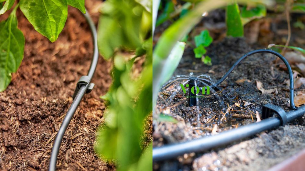 đặc điểm vượt trội của ống tưới không gắn chip Dekko