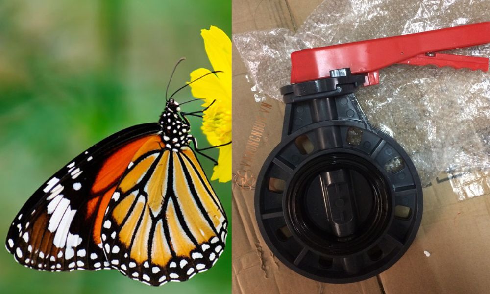 khái niệm butterfly valve