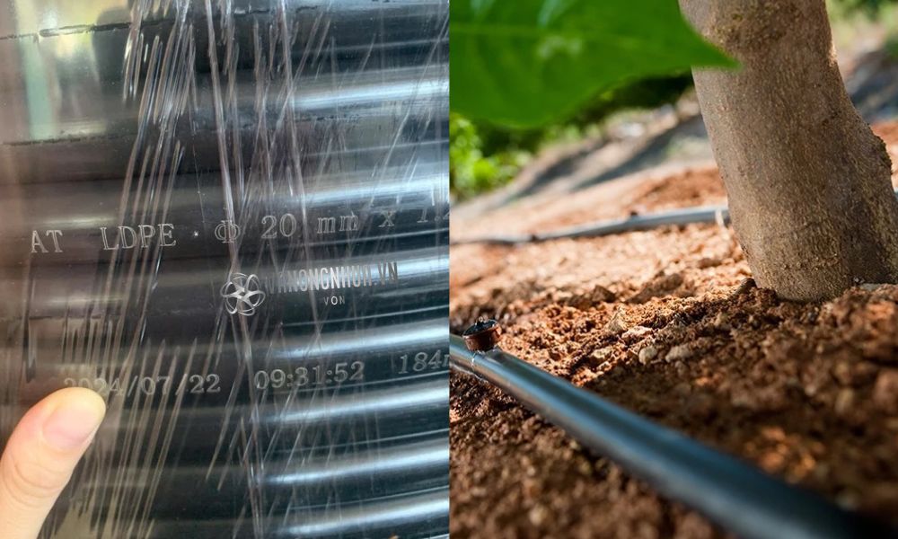 khái niệm ống pe 20