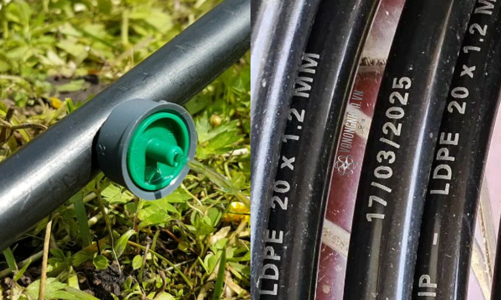 ống ldpe 20mm là gì