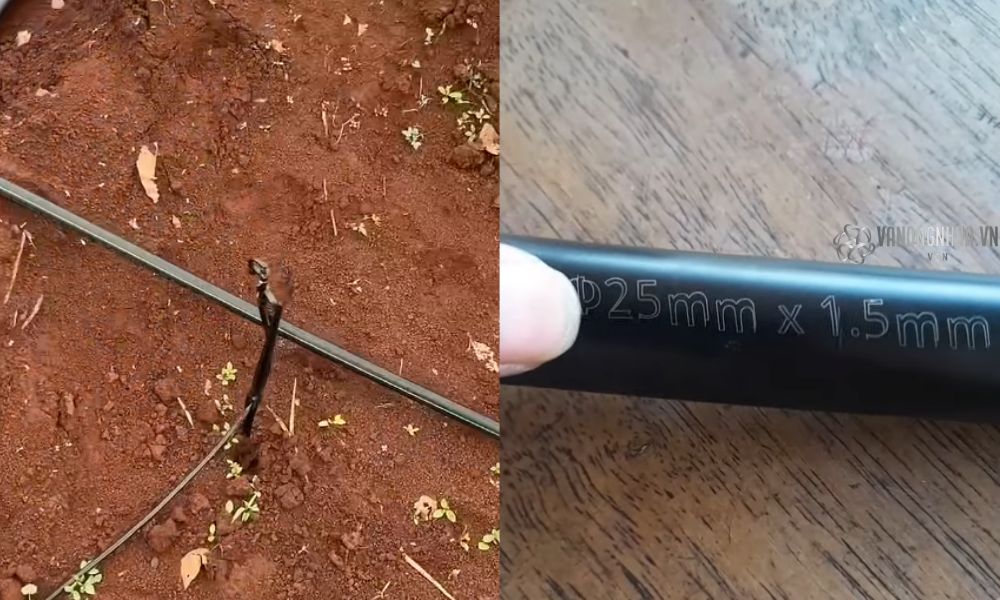 ống ldpe 25mm là gì