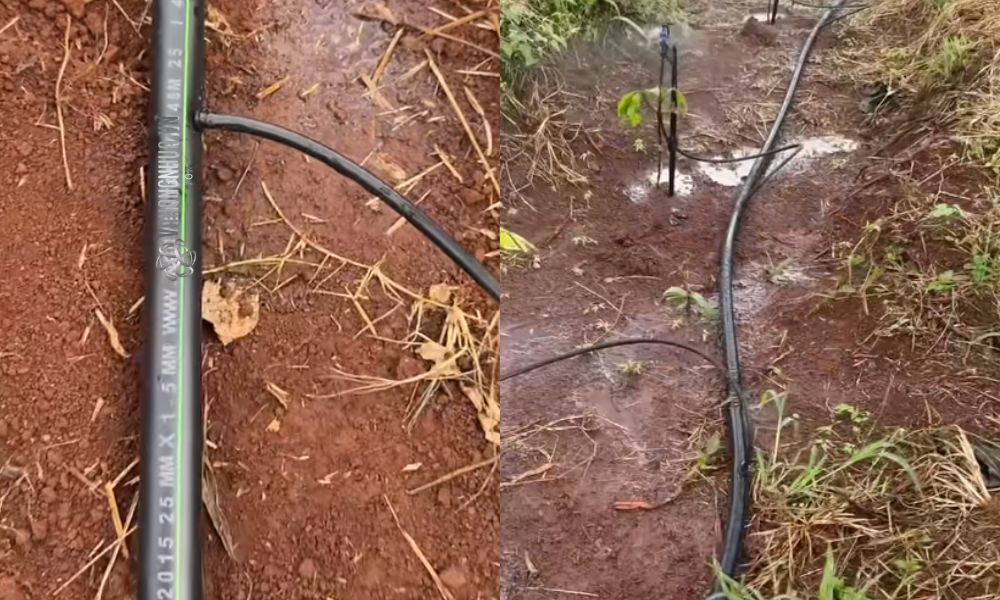 ống ldpe 25mm là ống chính