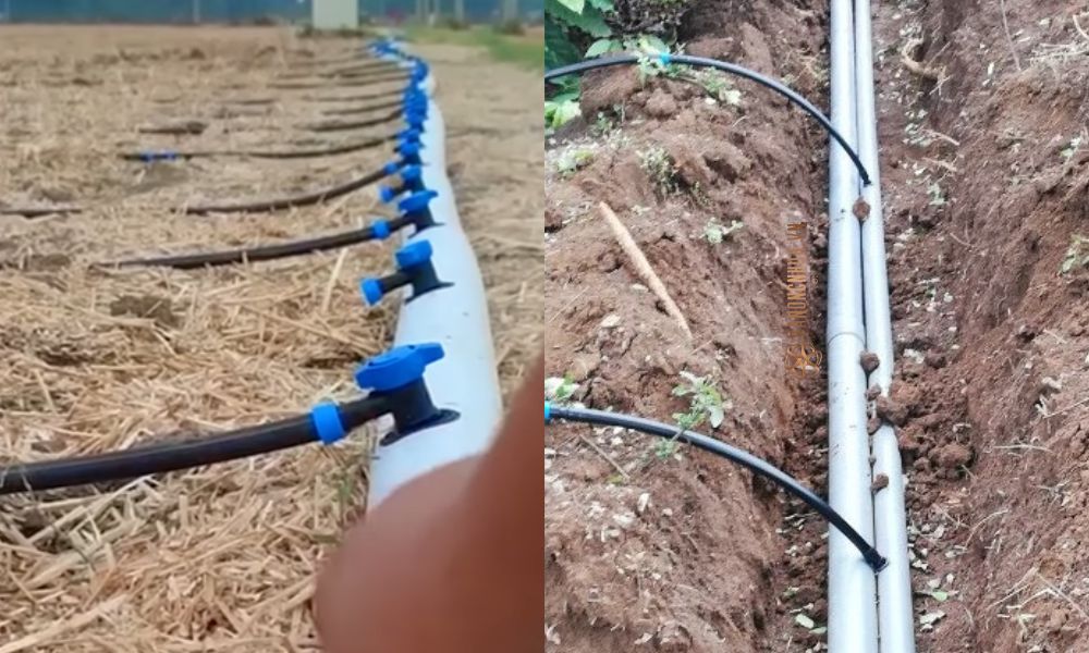 ống nước pe pvc