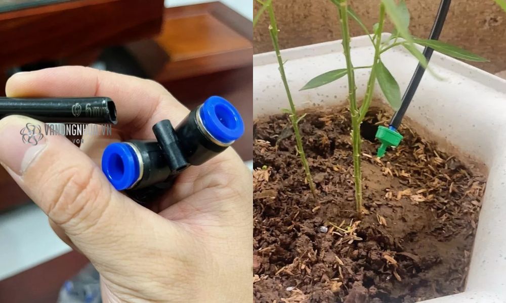 thiết bị đi kèm ống pe 6mm