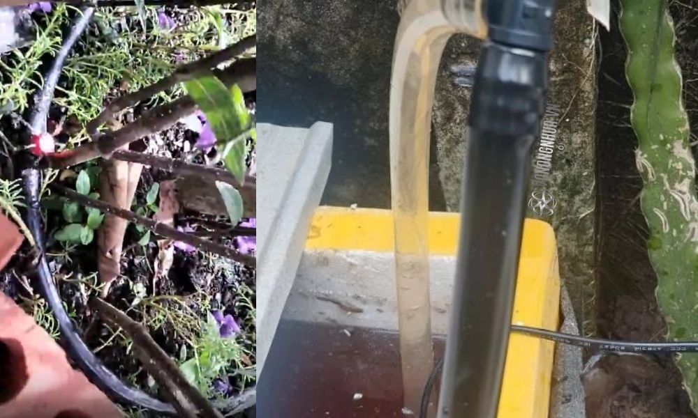 tuổi thọ ống pe 16mm