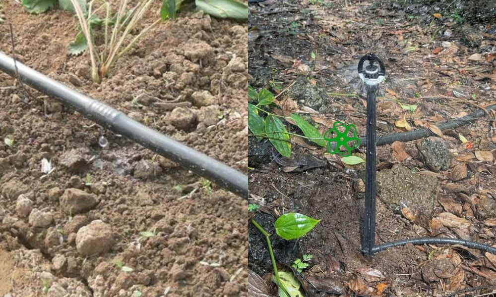 ứng dụng ống ldpe 20mm