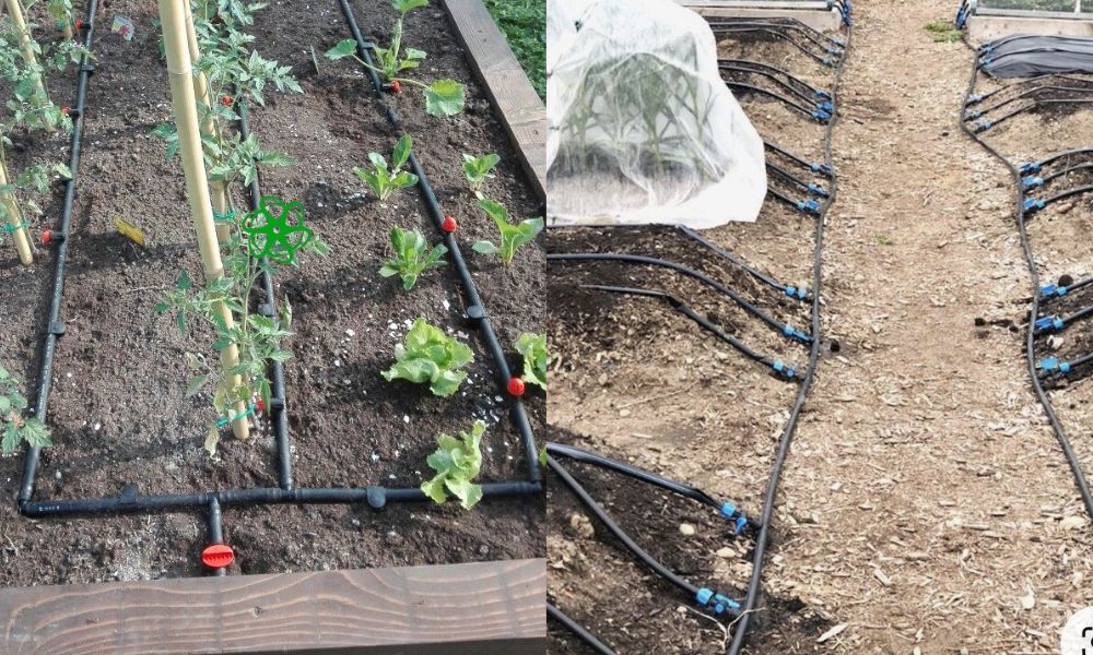 ứng dụng ống pe 20