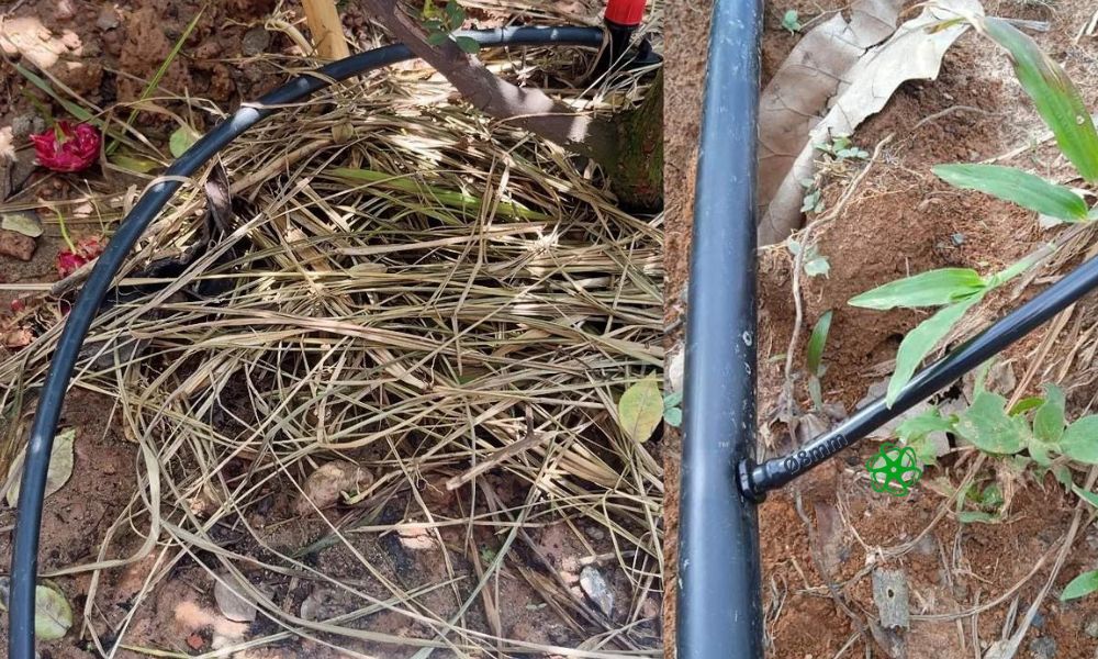 ứng dụng ống pe 8mm