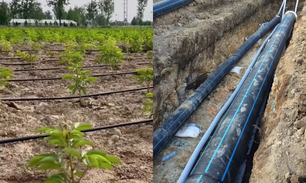 ứng dụng ống pe