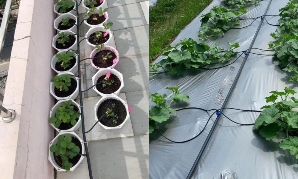 ưu điểm ống pe 16mm