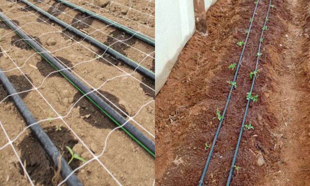 ống ldpe 32mm ống nhánh