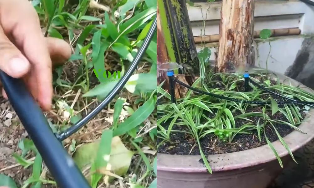 ứng dụng ống ldpe 6mm