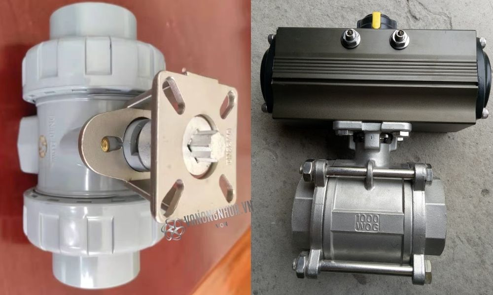 van bi có tán là gì