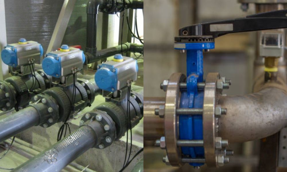 van bi cổng bướm