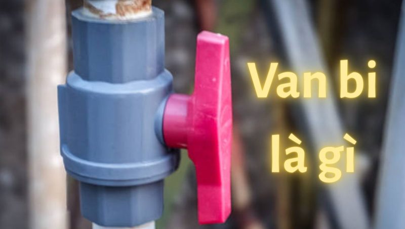 van bi là gì
