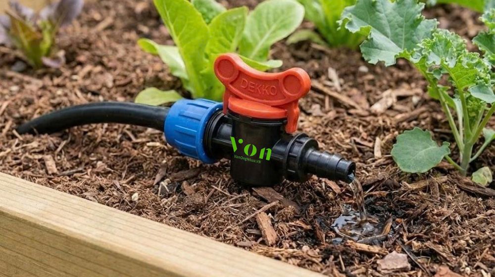 van LDPE nhỏ giọt Dekko là gì