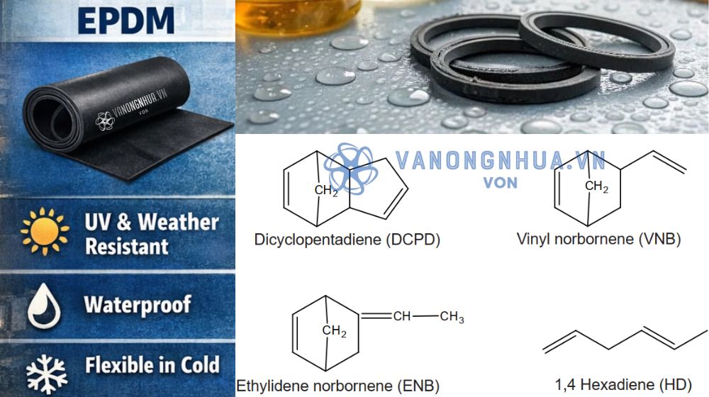 sự ra đời của epdm là gì